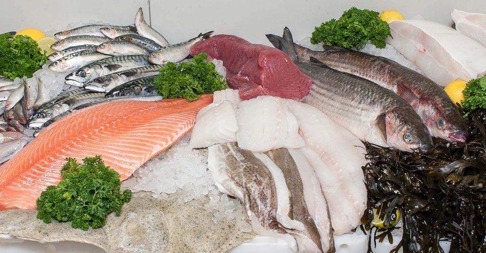 Fresh Fish