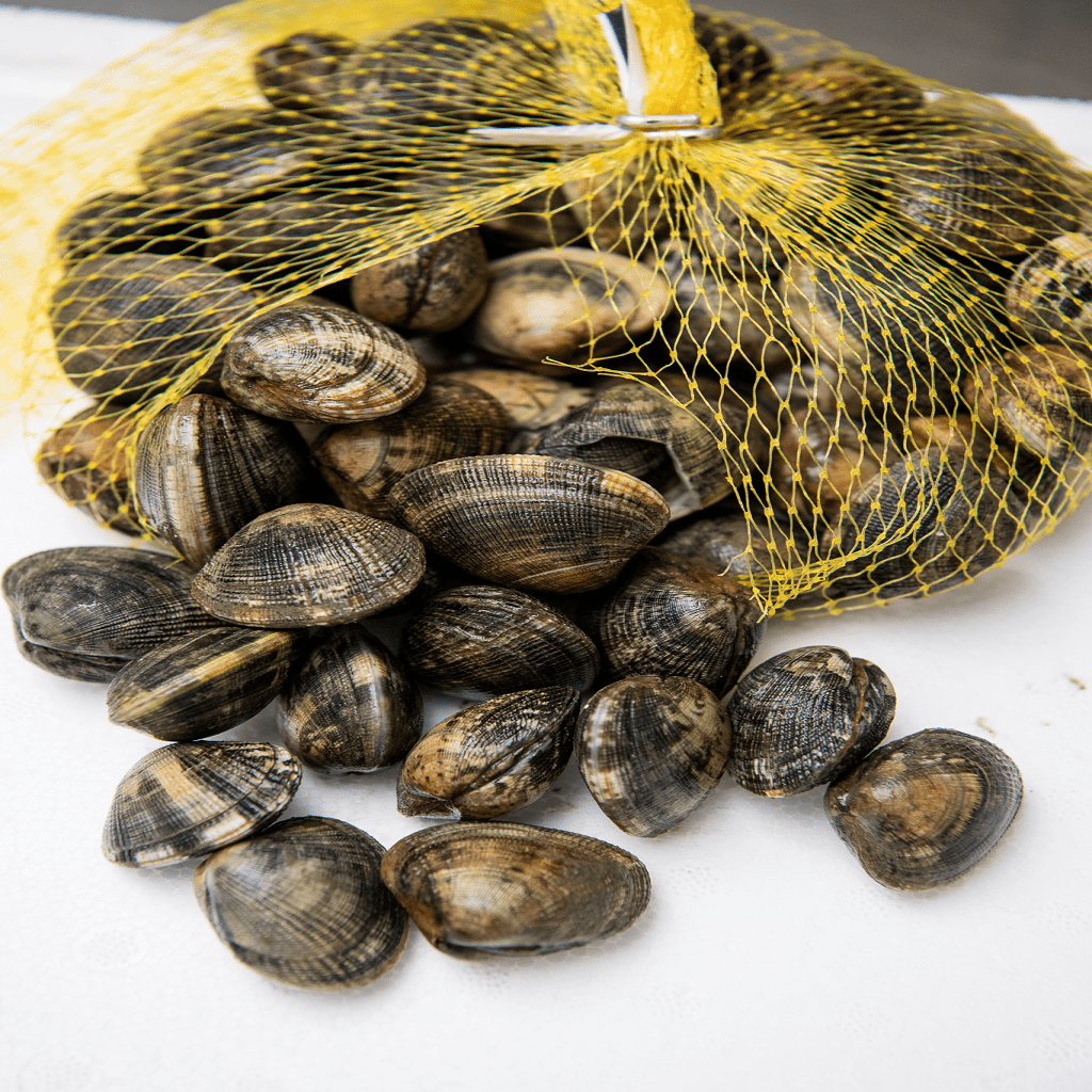 Clams Palourdes Live 1kg The Stickleback Fish Company Ltd
