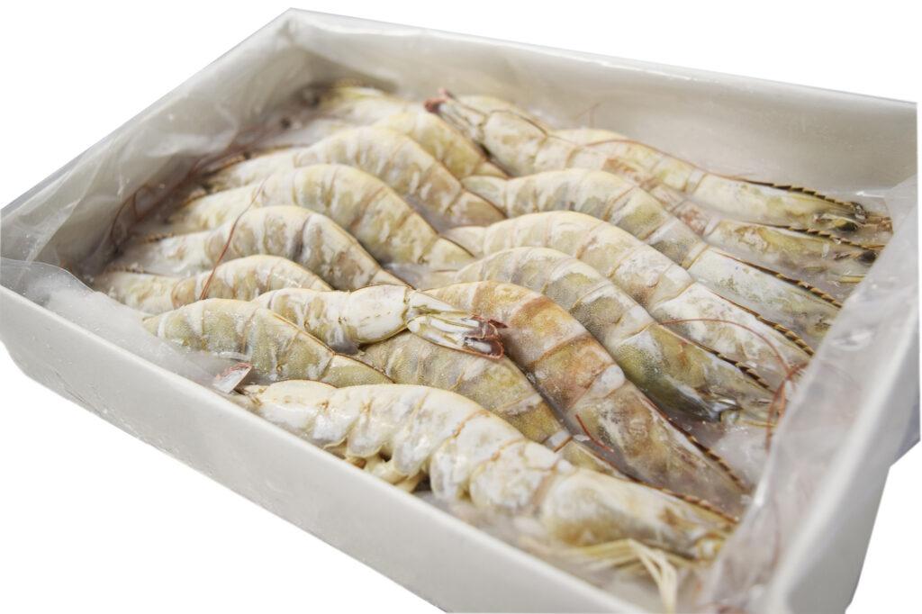 Tiger Prawns Fresh Raw 20/30 2kg BOX The Stickleback Fish Company Ltd