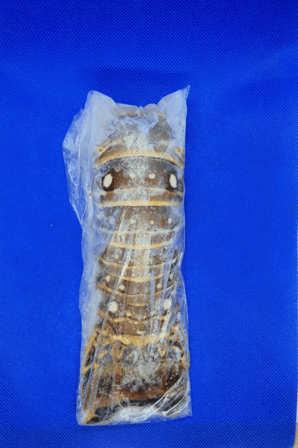 Lobster Rock Tail Raw 140/200g FROZEN