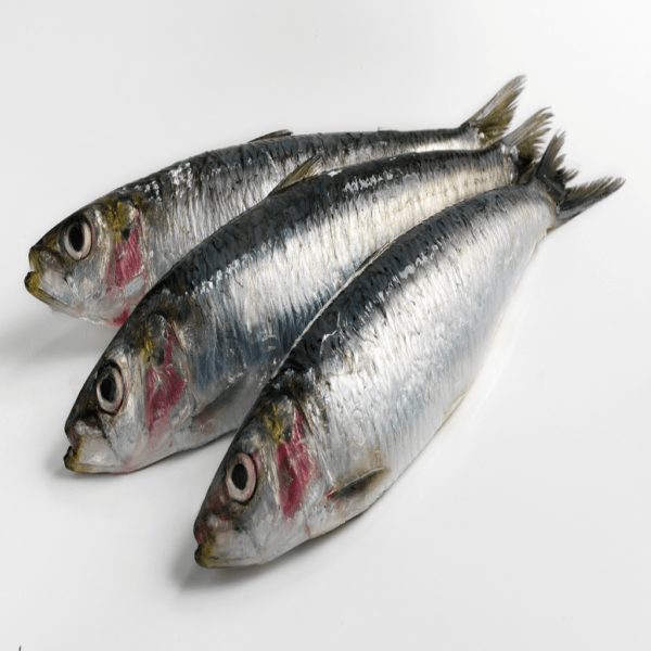 Sardines Whole 1kg