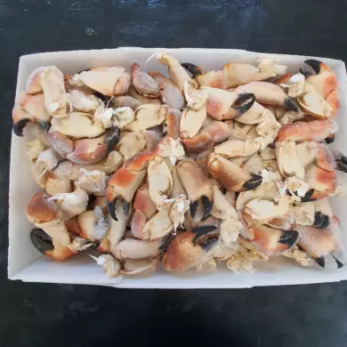Crab Claw Whole Cooked 10kg FROZEN